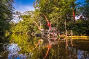 Wapa-Lodge-©ABrusini-Ctguyane
