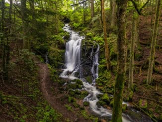 Windbergwasserfall in St. Blasien ©Hochschwarzwald Tourismus GmbH