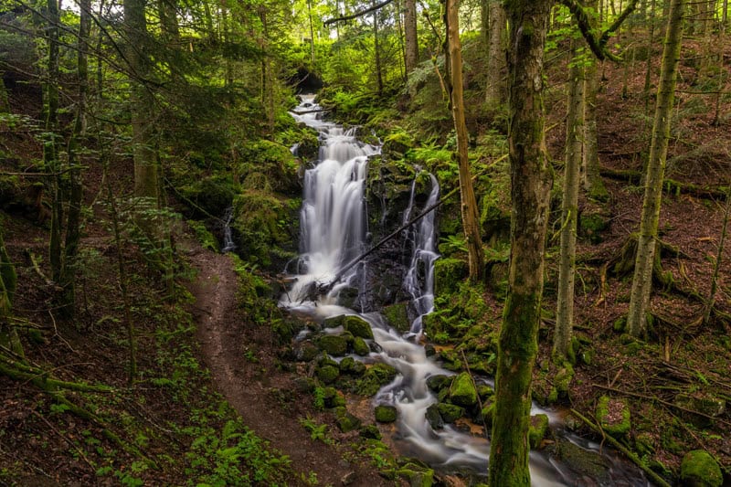 Windbergwasserfall in St. Blasien ©Hochschwarzwald Tourismus GmbH