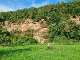 Churfranken ©Detlef Duering 020