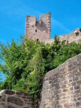 Churfranken ©Detlef Duering 034