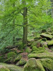Churfranken ©Detlef Duering 055