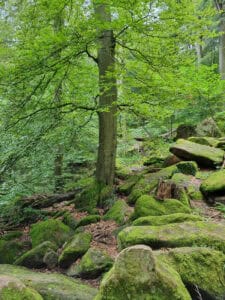 Churfranken ©Detlef Duering 055