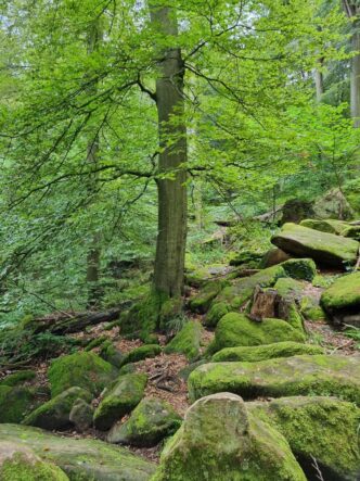 Churfranken-©Detlef-Duering-055 Churfranken ©Detlef Duering 055