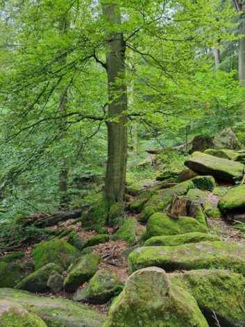 Churfranken ©Detlef Duering 055