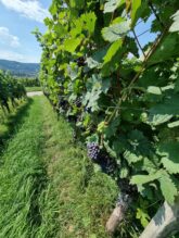 Churfranken ©Detlef Duering 095