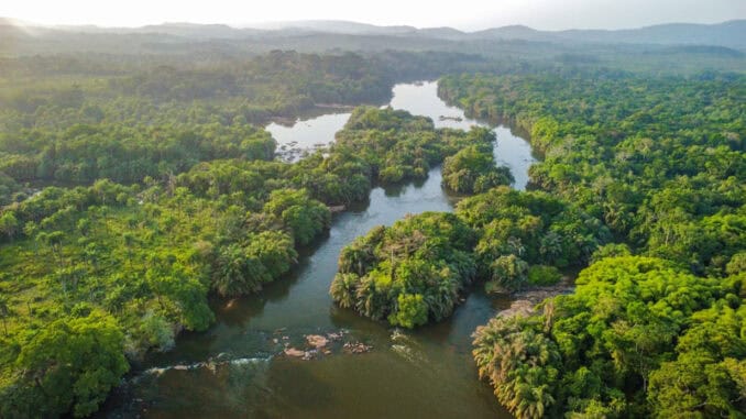 SierraLeone Tiwai Island