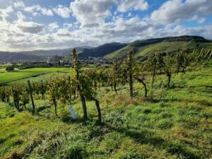 Landidyll Weinhotel Klostermuehle ©Detlef Duering 48