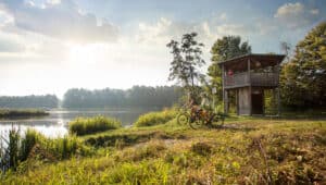 Aussichtsturm Donau ©FouadVollmer