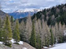 Oberhausgut Ultental ©Detlef Duering 13