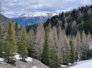 Oberhausgut Ultental ©Detlef Duering 13