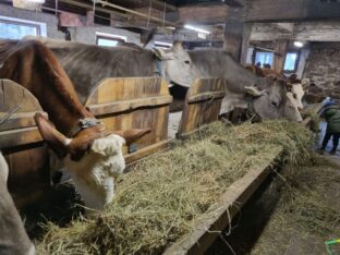 Oberhausgut-Ultental-©Detlef-Düring-40 Oberhausgut Ultental ©Detlef Duering 40