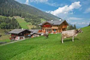 Oberhausgut-Ultental-©Roter-Hahn