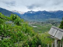 Rauthof bei Meran ©Detlef Duering 01