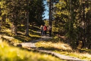 Waldbaden am Asitz in Leogang ©Michael Geissler