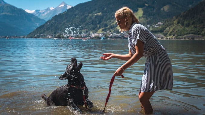 ZSK Hund im See ©Zell am See Kaprun Tourismus