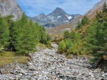 Kalser Koednitztal Osttirol ©Detlef Duering 12