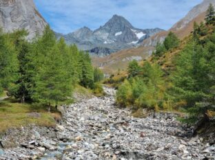 Kalser Koednitztal Osttirol ©Detlef Duering 12