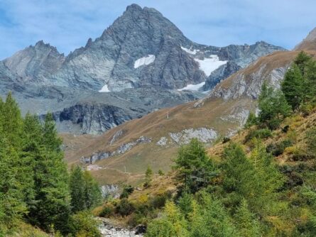 Kalser Koednitztal Osttirol ©Detlef Duering 14