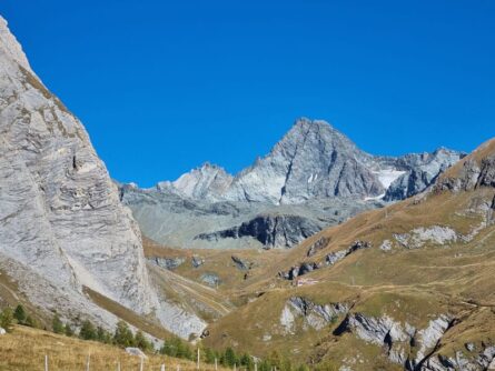 Kalser Koednitztal Osttirol ©Detlef Duering 46
