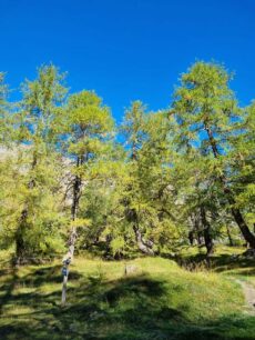 Osttirol ©Detlef Duering 44