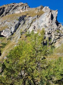 Osttirol ©Detlef Duering 45