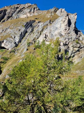 Osttirol ©Detlef Duering 45
