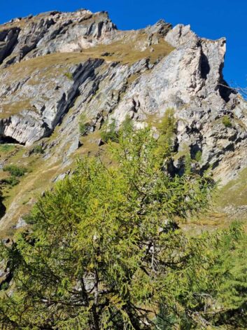 Osttirol ©Detlef Duering 45