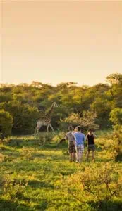 SAT Tourism 2