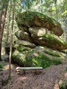 Waldviertel ©Detlef Duering 094