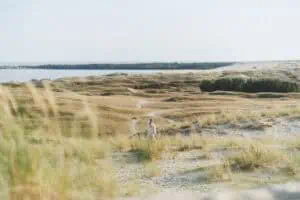 Kurische Nehrung Litauen ©Simas Bernotas