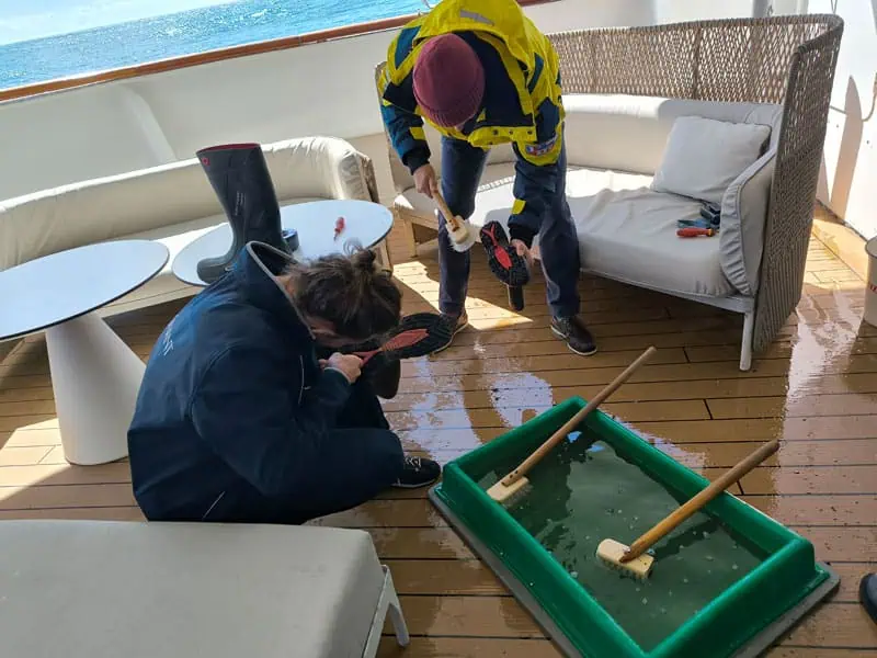 Antarktis ©Detlef Duering 0015