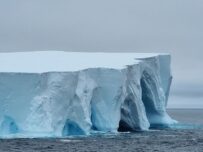 Antarktis-©Detlef-Duering-0031 Antarktis ©Detlef Duering 0031