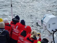 Antarktis-©Detlef-Duering-0100 Antarktis ©Detlef Duering 0100