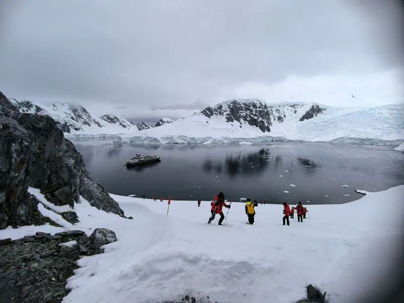 Antarktis ©Detlef Duering 0167