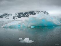 Antarktis-©Detlef-Duering-0229 Antarktis ©Detlef Duering 0229