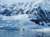 Antarktis-©Detlef-Duering-0295 Antarktis ©Detlef Duering 0295