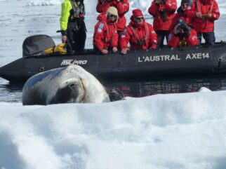 Antarktis-©Detlef-Duering-0425 Antarktis ©Detlef Duering 0425