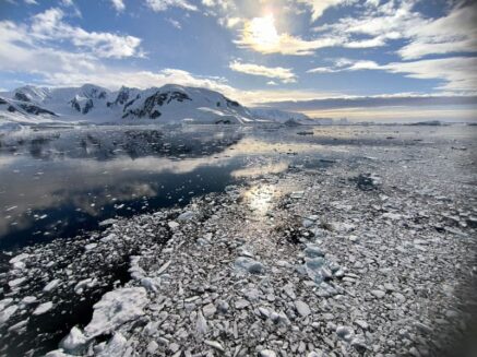 Antarktis-©Detlef-Duering-0493 Antarktis ©Detlef Duering 0493