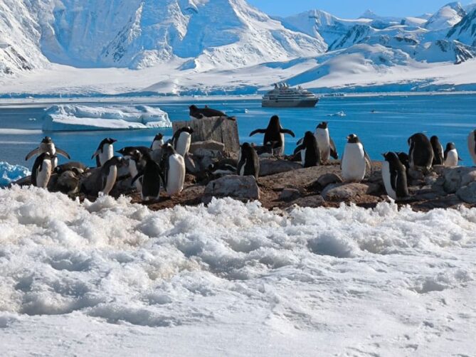 Antarktis-©Detlef-Duering-0527 Antarktis ©Detlef Duering 0527