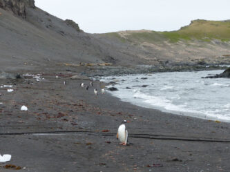 Antarktis-©Detlef-Duering-1082 Antarktis ©Detlef Duering 1082