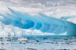 Antarktis-©Detlef-Duering-1162 Antarktis ©Detlef Duering 1162