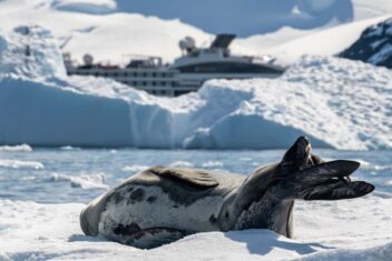 Antarktis-©Detlef-Duering-1163 Antarktis ©Detlef Duering 1163