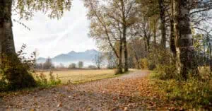 Chiemsee Landschaft Herbst