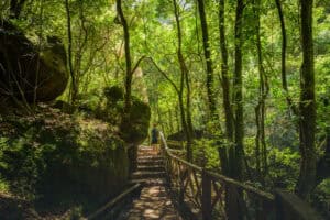 La Palma ©Imanol Zuaznabar