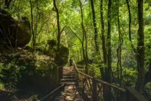 La Palma ©Imanol Zuaznabar