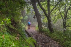 Levada Wanderung © Francisco Correia 3