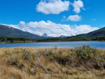 Tierra del Fuego Nationalpark ©Detlef Duering Ushuaia ©Detlef Duering 18
