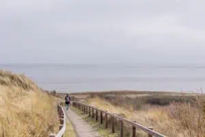 T-Oerd-Ameland-©Lydia_Annema