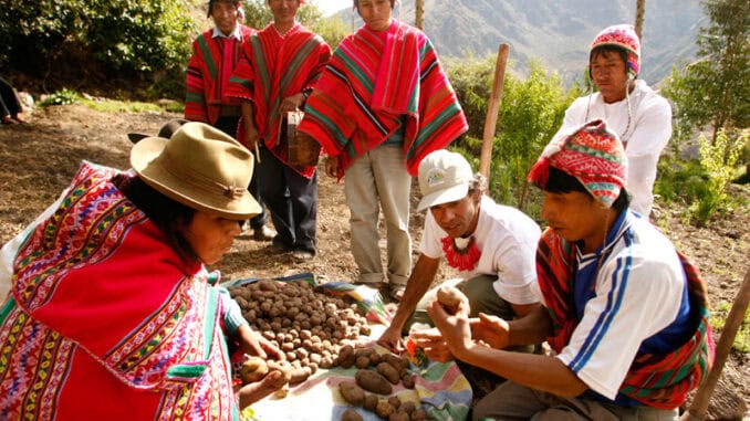 Lamay ©Enrique Castro PROMPERU